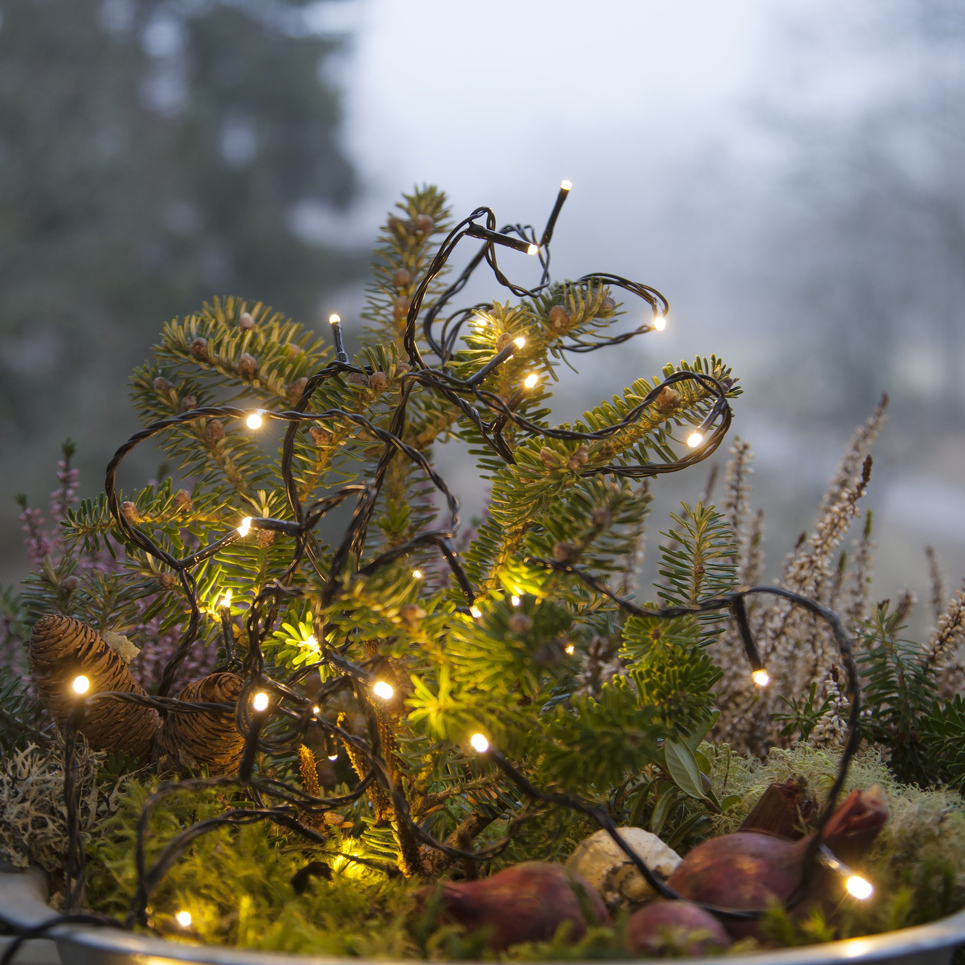 LED světelný řetěz Serie Micro, 30x LED_0