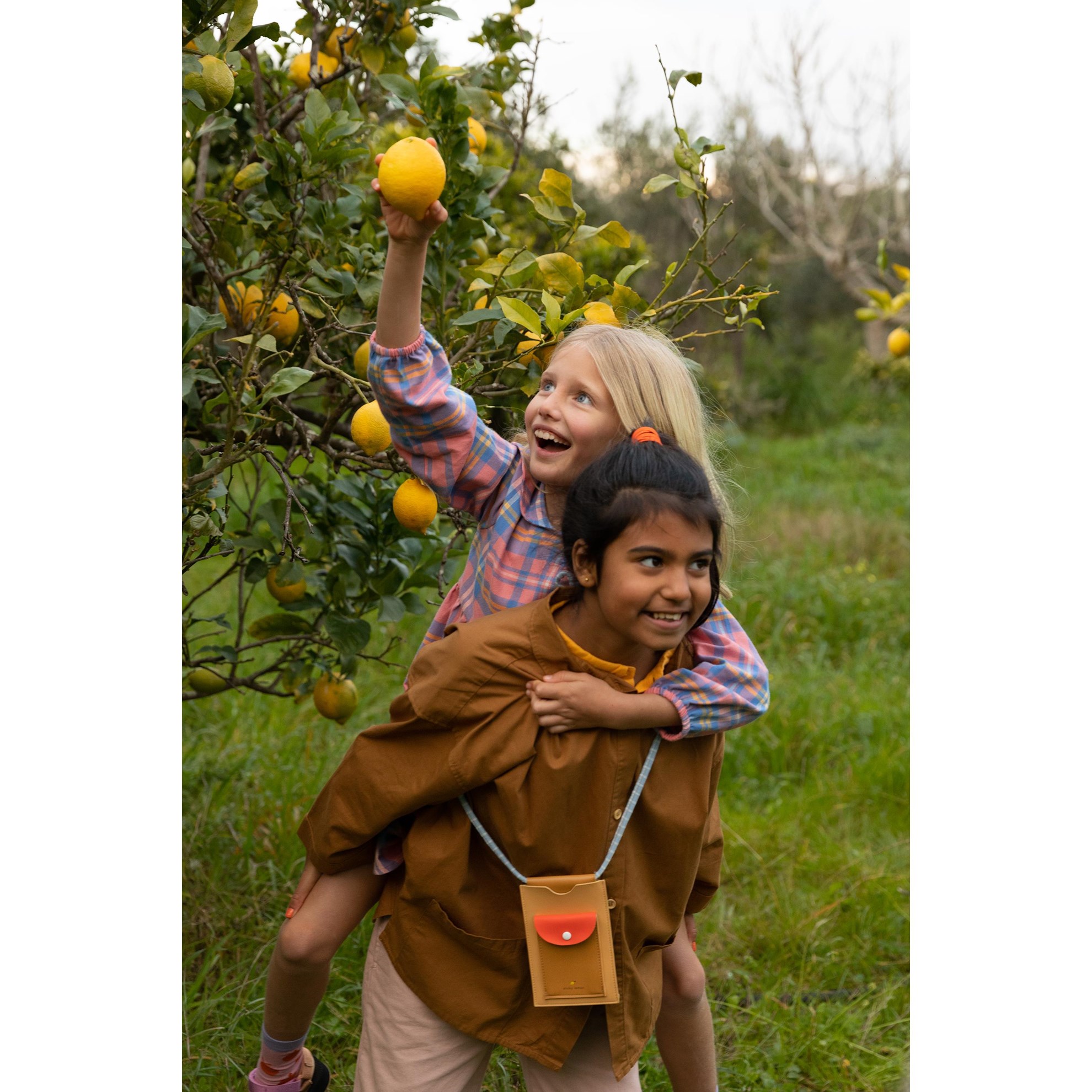 Pouzdro na telefon XL Sticky Lemon FARMHOUSE pearjam_4