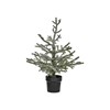 Vánoční stromek 60LED NAT V.70cm zelený_5