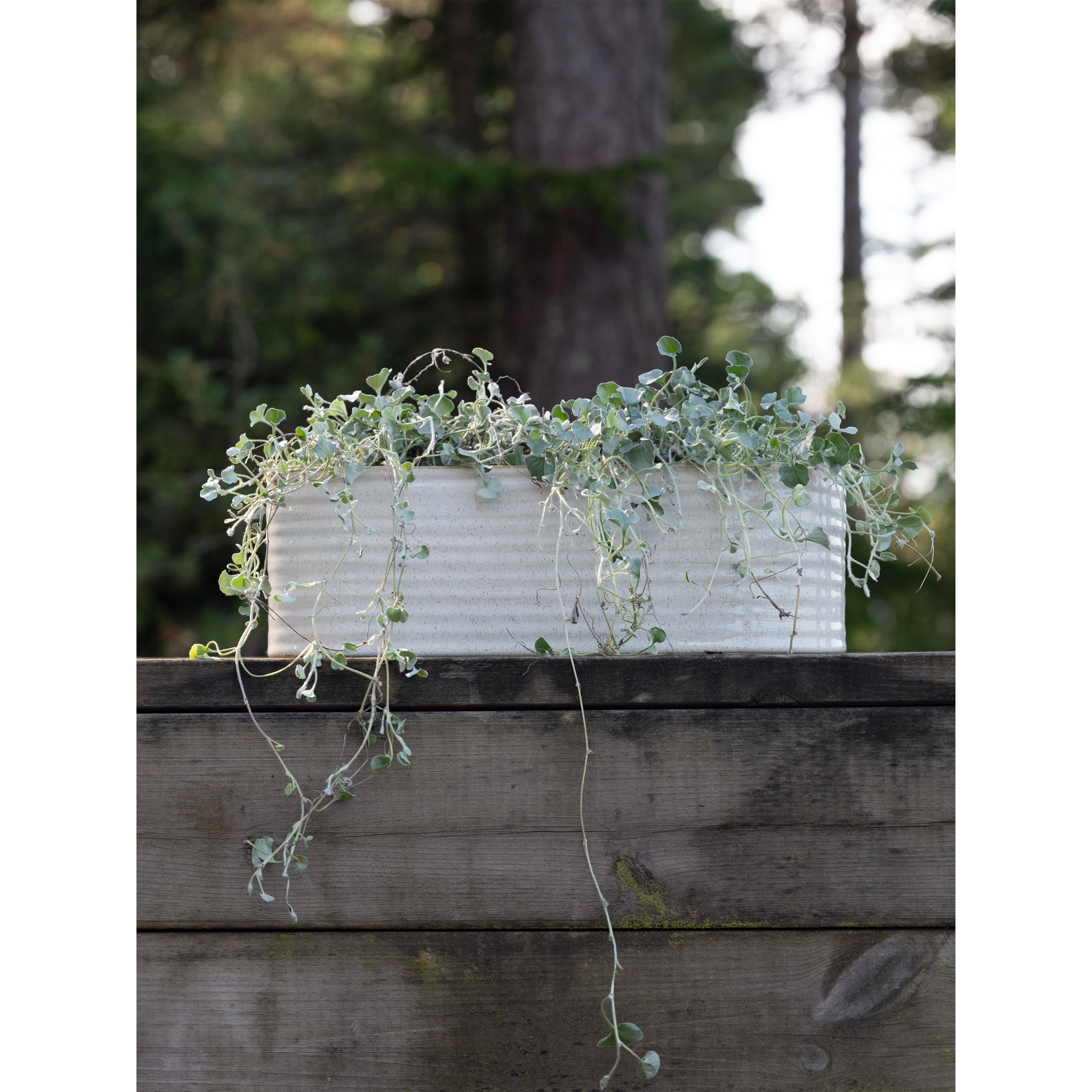 Oválné květináče ELFRIDA D.35/31 cm SET/2ks šedo-bílé_2