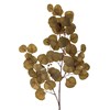 Umělá dekorace /květina EUCALYPTUS V.86cm hnědý_1