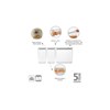 Sada plastových dóz Brabantia SQUARE-2x1,6l/1x3,5l SET/3ks světle šedé_4
