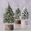 Dekorační stromek TANNE V.19cm 3 druhy (cena za 1ks)_3
