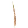 Umělá květina FOXTAIL V.73cm růžová_1