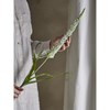 Umělá květina FOXTAIL V.73cm bílá_0
