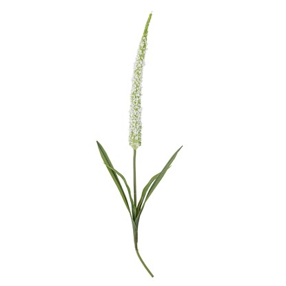 Umělá květina FOXTAIL V.73cm bílá_2