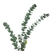 Umělá dekorace EUKALYPTUS V.76cm zelená_1