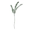 Umělá dekorace EUKALYPTUS V.76cm zelená_5