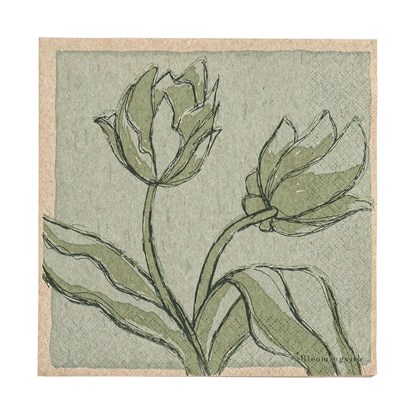 Papírové ubrousky MANA 33x33cm BAL/20ks zelené_2