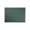 Prostírání Asa VEGAN LEATHER 46X33cm tmavě zelené_1