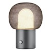 Stolní LED lampa Blomus IRIS V.32cm kovově šedá/šedé sklo_0