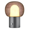 Stolní LED lampa Blomus IRIS V.32cm kovově šedá/šedé sklo_1
