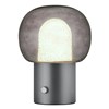 Stolní LED lampa Blomus IRIS V.32cm kovově šedá/šedé sklo_2