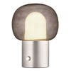 Stolní LED lampa Blomus IRIS V.32cm nerezová matná/šedé sklo_0