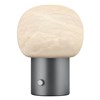 Stolní LED lampa Blomus IRIS V.32cm kovově šedá/bílé sklo_0