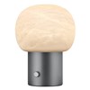 Stolní LED lampa Blomus IRIS V.32cm kovově šedá/bílé sklo_1