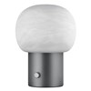 Stolní LED lampa Blomus IRIS V.32cm kovově šedá/bílé sklo_5