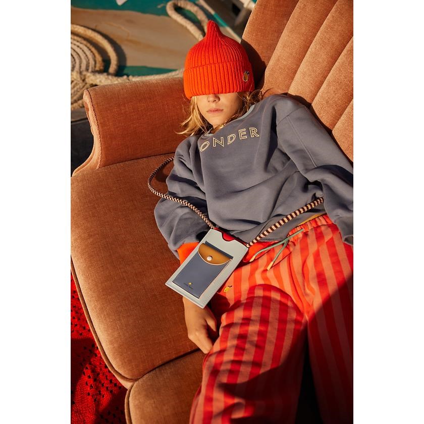 Pouzdro na telefon Sticky Lemon wonders blue_2