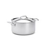 Nerezový hrnec s poklicí de Buyer AFFINITY P.28cm 8,8l_6
