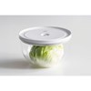 Skleněná vakuová miska Zwilling FRESH&SAVE BOWLS L 24 cm_15