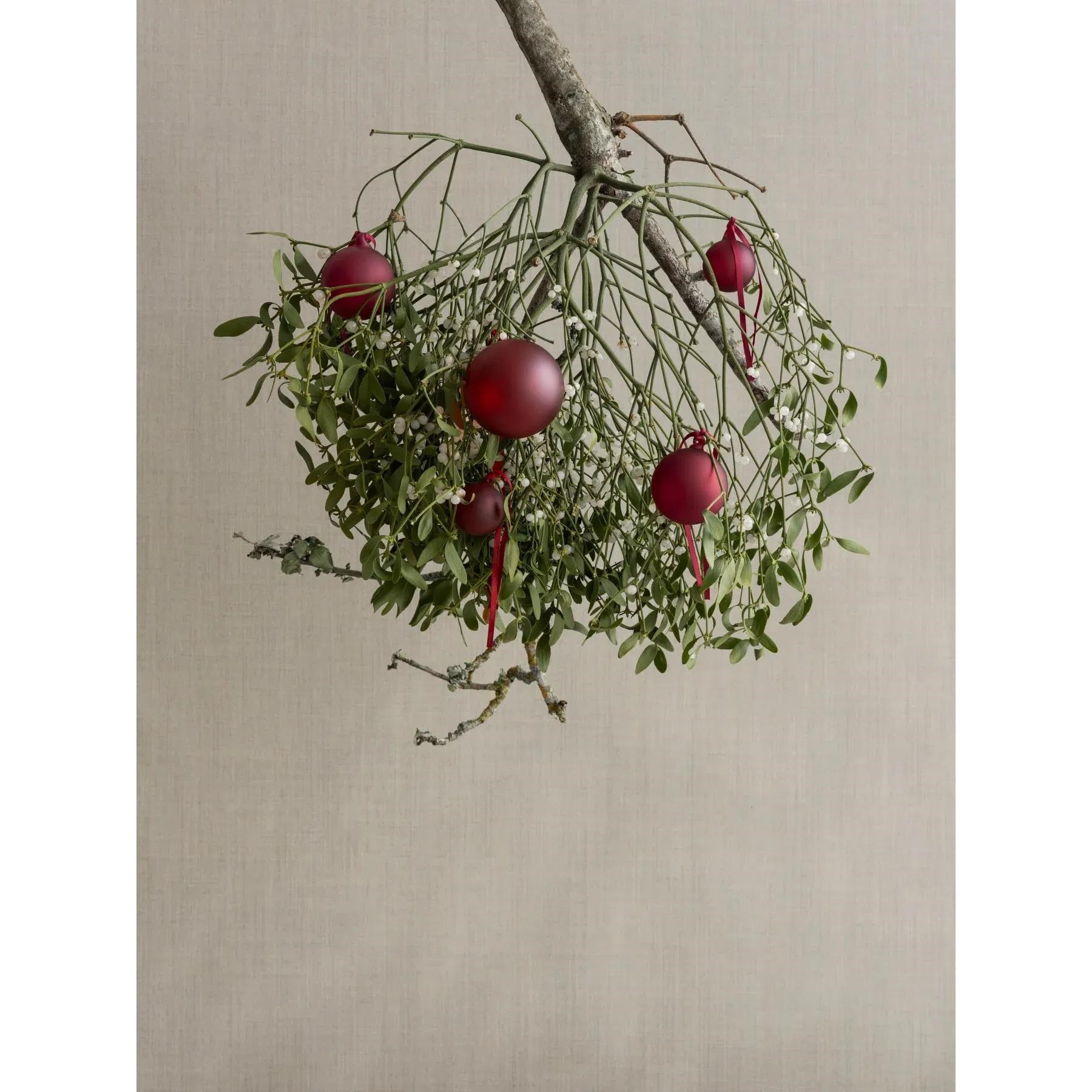 Skleněné ozdoby Blomus JUHLA P.7cm SET/4ks červené_2