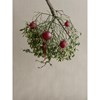 Skleněné ozdoby Blomus JUHLA P.7cm SET/4ks červené_2