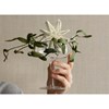 Papírové ozdoby Blomus KAZARY P.10cm SET/4ks krémové_0