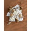 Papírové ozdoby Blomus KAZARY P.10cm SET/4ks krémové_2
