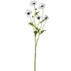 Umělá květina sasanky 81cm bílá_1