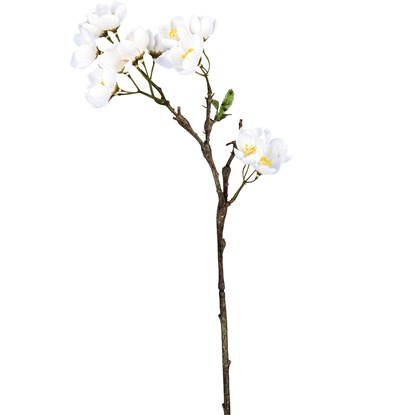 Větvička jabloně 60 cm, bílá_1