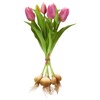 Tulipán svazek x5 s cibulemi 40 cm, světle fialová_1