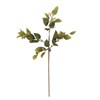 Umělá květina eukalyptus V.92 cm zelená_2