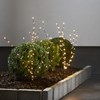 Venkovní dekorace REEDY 180xLED V.60cm černá_0