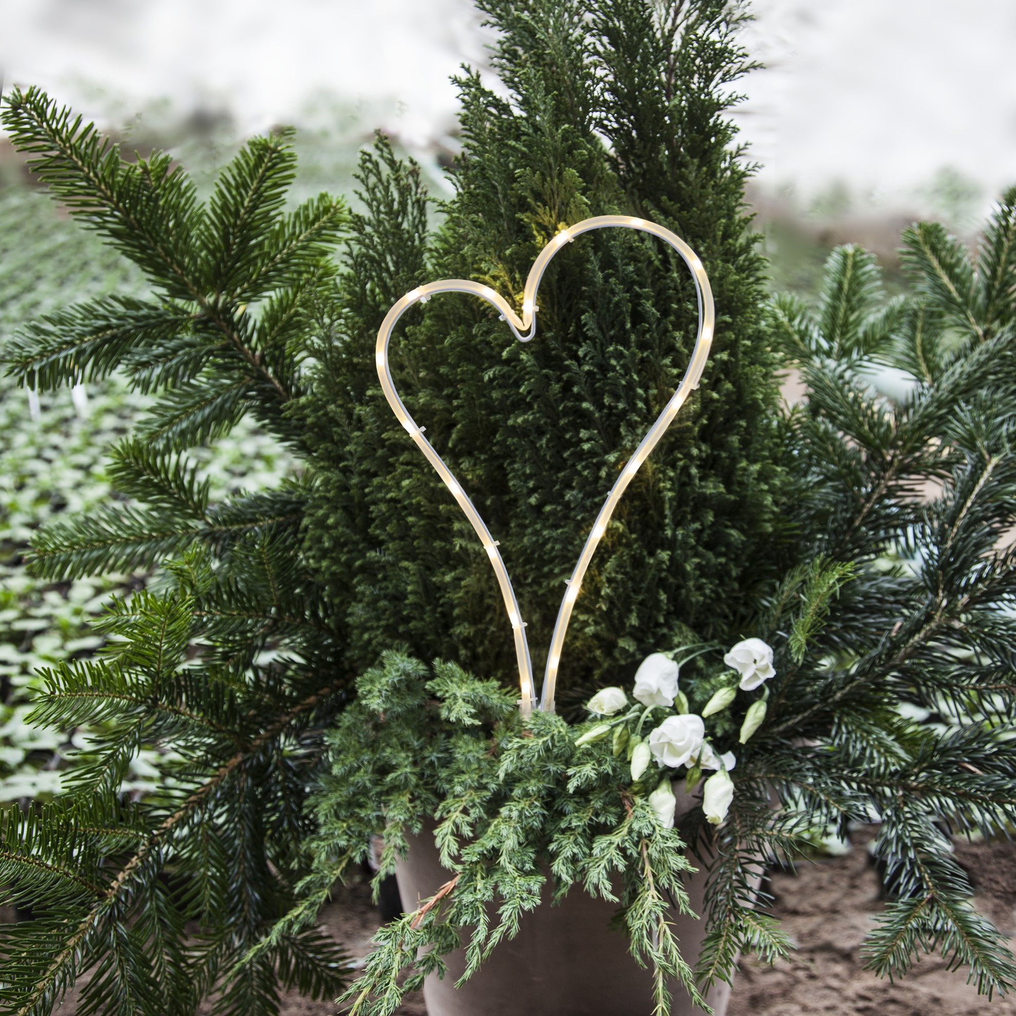 LED osvětlení srdce V.39cm bílé_0