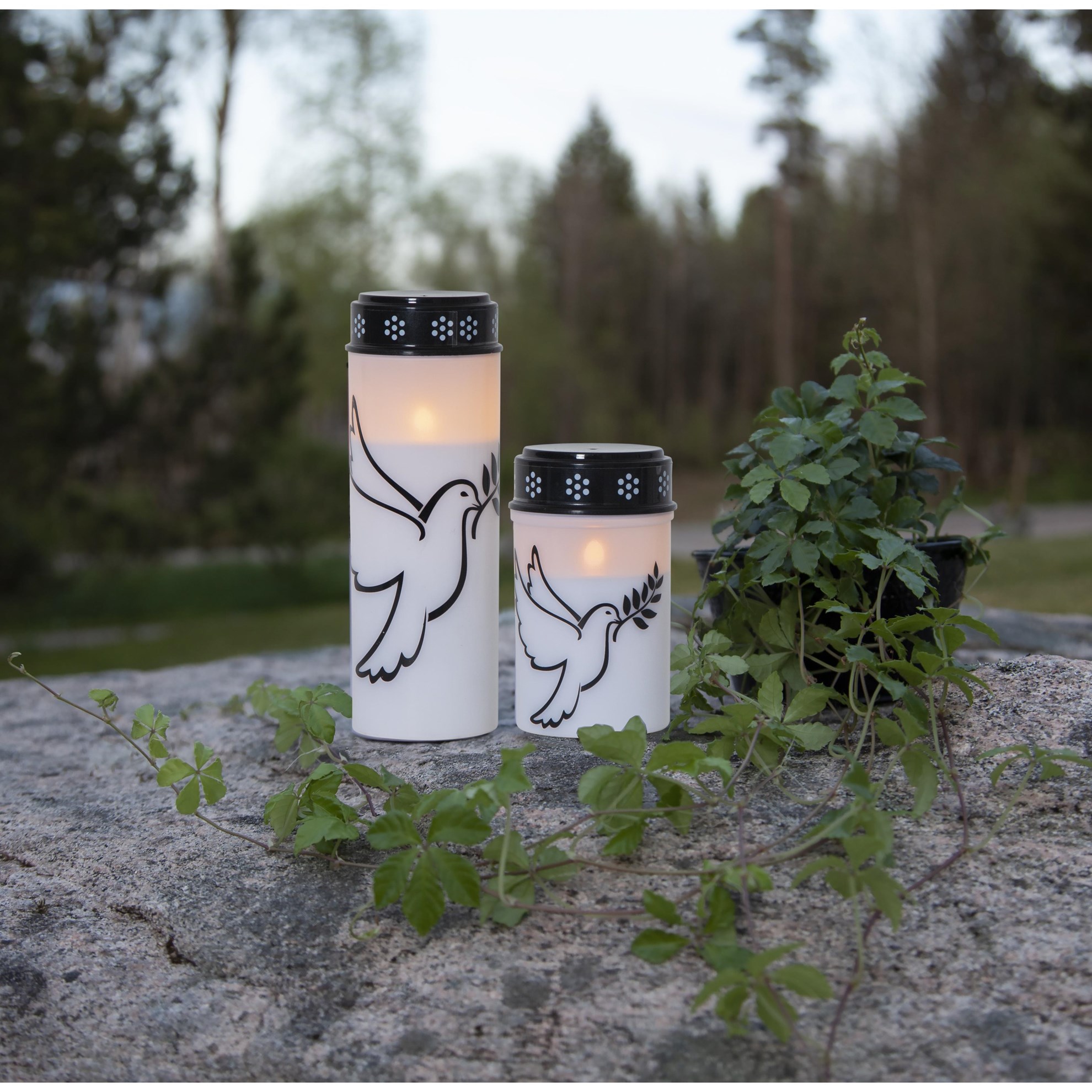 LED hřbitovní svíčka DOVE V.21 cm bílo-černá_1
