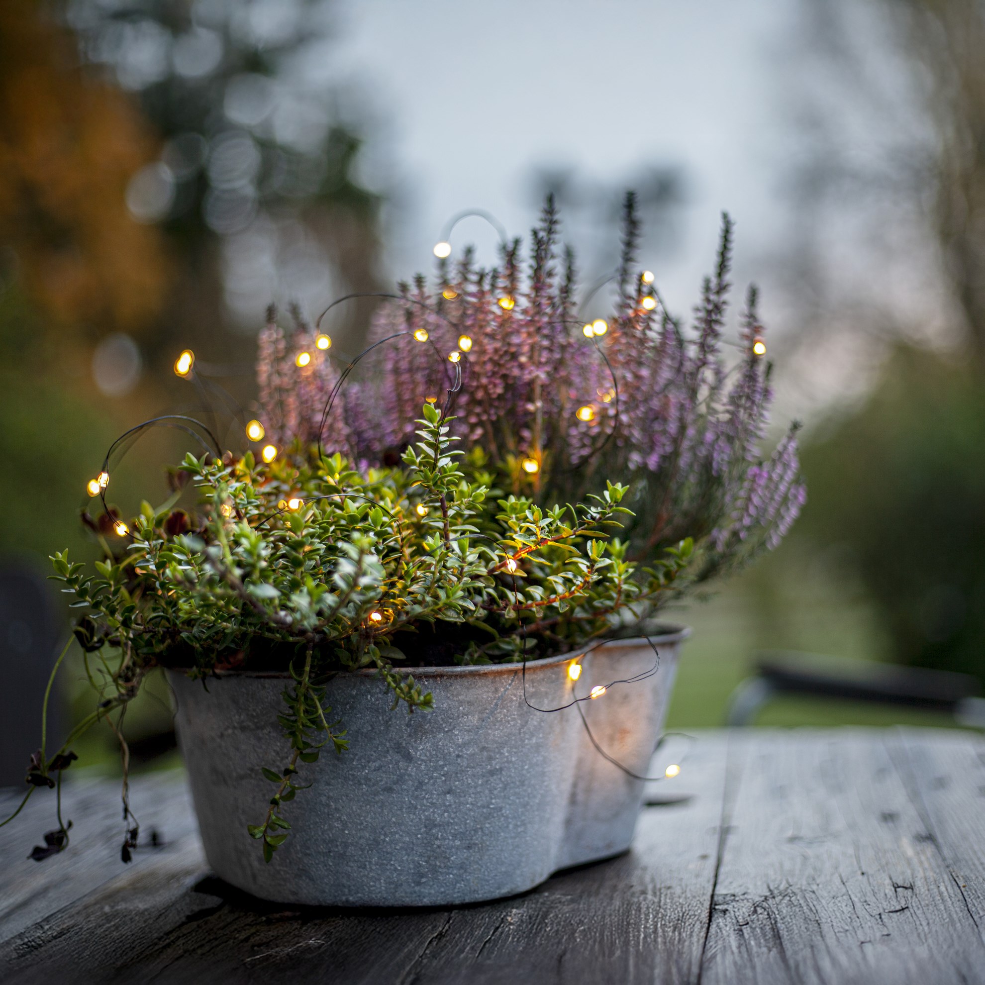 LED světelný řetěz DEW DROP 40x LED D.4m černý_0